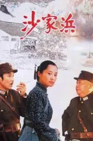 沙家浜 tv show poster