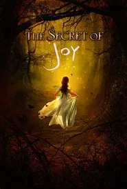 Poster do filme The Secret of Joy