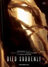 Died Suddenly movie poster