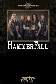 HammerFall - Summer Breeze 2023 movie poster
