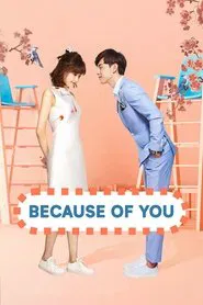 Because of You tv show poster