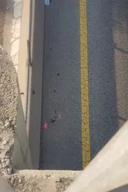 Zammour Demo movie poster