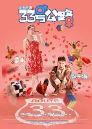 Poster do filme Route 33