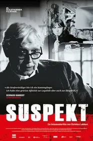 Poster do filme Suspect