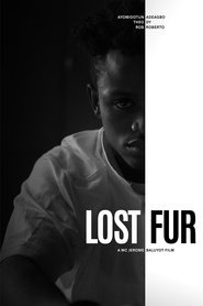 Lost Fur movie poster