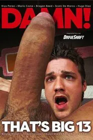 Damn That's Big 13 movie poster