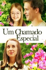 Poster do filme Um Chamado Especial