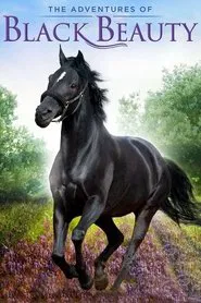 The Adventures of Black Beauty tv show poster