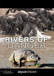 Poster do filme Rivers of Danger