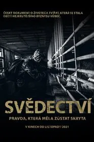 Svědectví: Pravda, která měla zůstat skryta movie poster