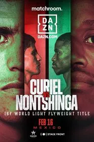 Adrian Curiel vs. Sivenathi Nontshinga II movie poster