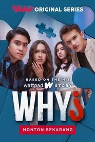 WHY? tv show poster
