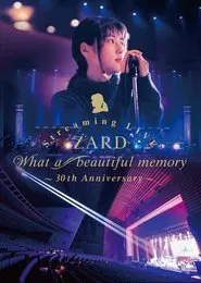 ZARD Streaming LIVE What a beautiful memory~30th Anniversary~ movie poster