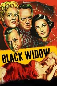 Poster do filme A Viúva Negra