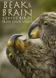 Beak & Brain - Genius Birds from Down Under movie poster