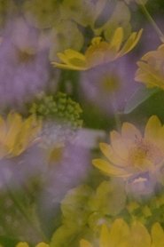 Now and in the time of our death movie poster