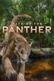 Path of the Panther movie poster