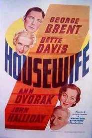 Poster do filme Dona de Casa