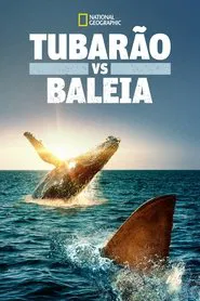 Poster do filme Tubarão vs. Baleia