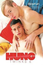 Poster do filme Hung Twinks 6