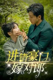 Poster da série 进错豪门嫁对郎
