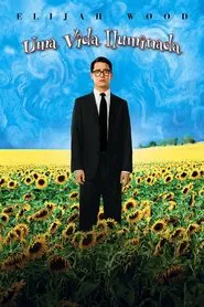 Poster do filme Uma Vida Iluminada