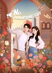 No, Handsome Guy tv show poster