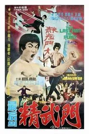 The Last Fist of Fury movie poster