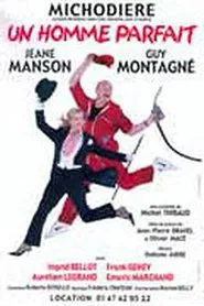 Poster do filme Un homme parfait