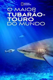 Poster do filme O Maior Tubarão-Touro do Mundo