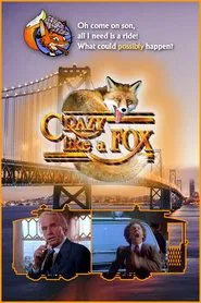 Poster da série Faro Fino
