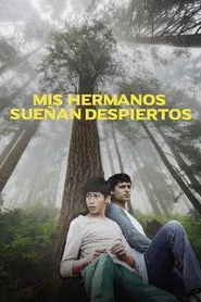 My Brothers Dream Awake movie poster