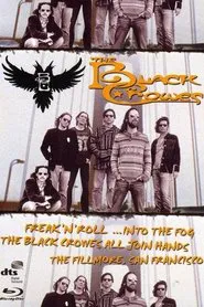The Black Crowes - Freak 'n' Roll... Into the Fog movie poster