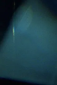 Prisms movie poster