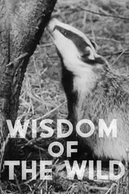Wisdom of the Wild movie poster