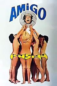 Amigo Hüsnü movie poster