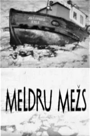 Meldru mežs movie poster