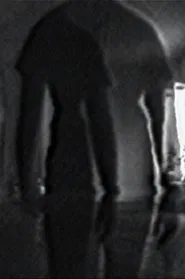 Double Vision movie poster