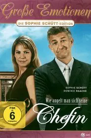 Wie angelt man sich seine Chefin movie poster