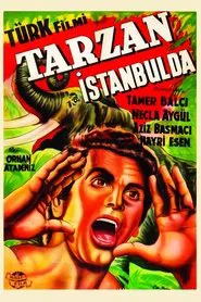Tarzan in Istanbul movie poster
