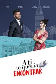 I Wanted to Find You movie poster