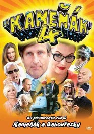 Bad Joke 4 movie poster