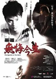 The Sparkle in the Dark movie poster
