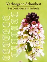Hidden Beauty - The Orchids of the Saale Valley movie poster
