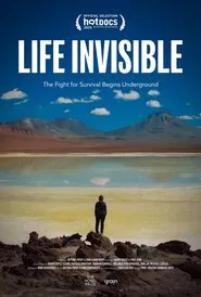 Life Invisible movie poster