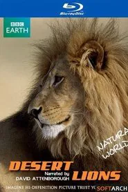 Desert Lions movie poster