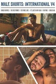 Poster do filme Male Shorts: International V4