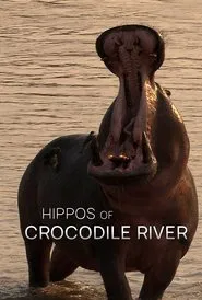 Poster do filme Hippos of Crocodile River
