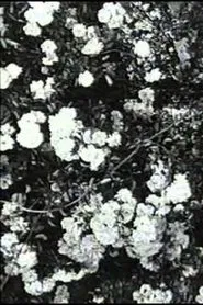 Jean Epstein or Cinema by Itself movie poster