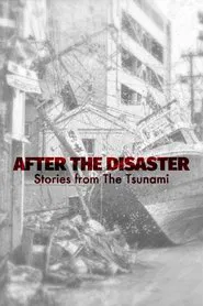 After The Disaster: Stories from The Tsunami movie poster